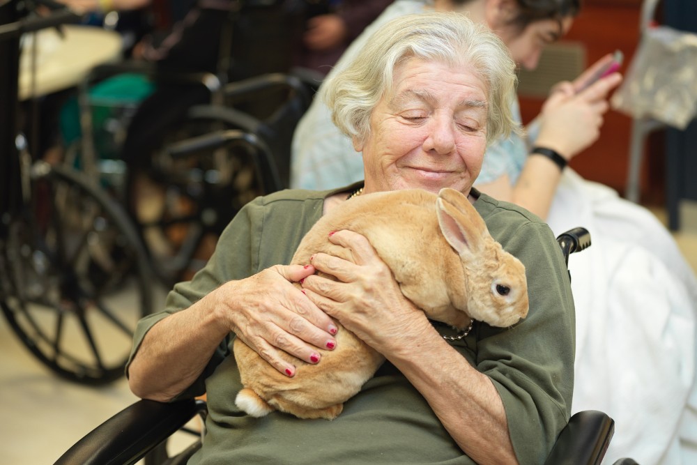 Senior woman playing with rabbit and showing kindness to prevent memory loss.